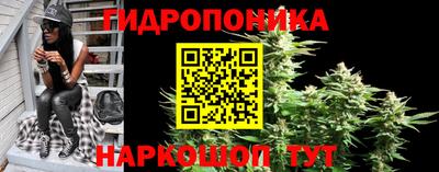 сатива Берёзовский