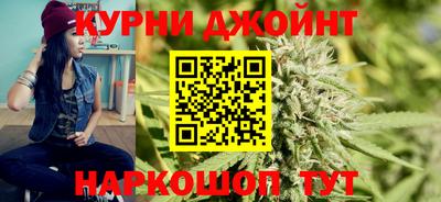 сатива Берёзовский