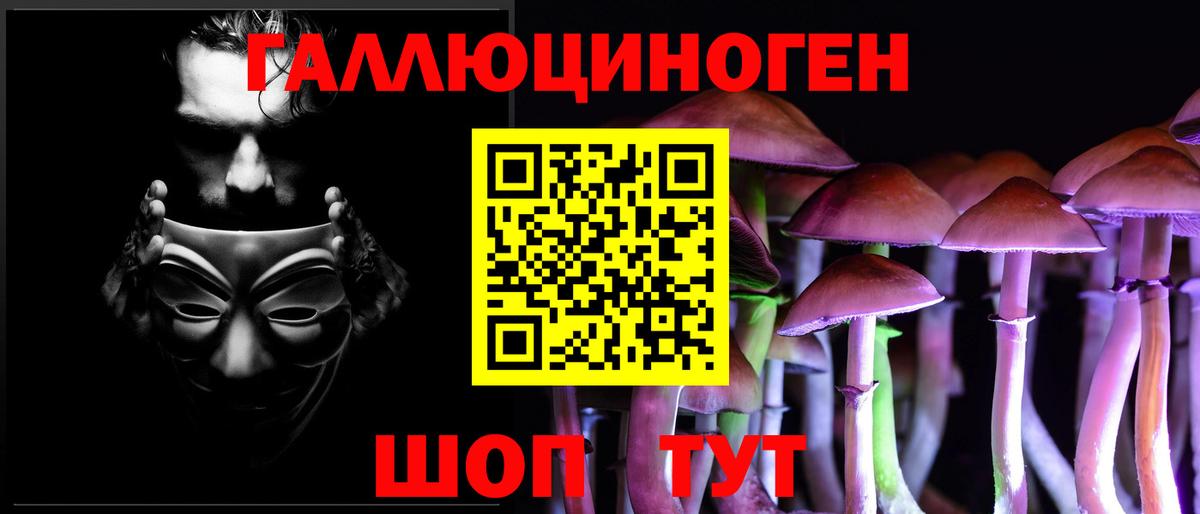 Псилоцибиновые грибы Cubensis  Вход с VPN  Кимры 