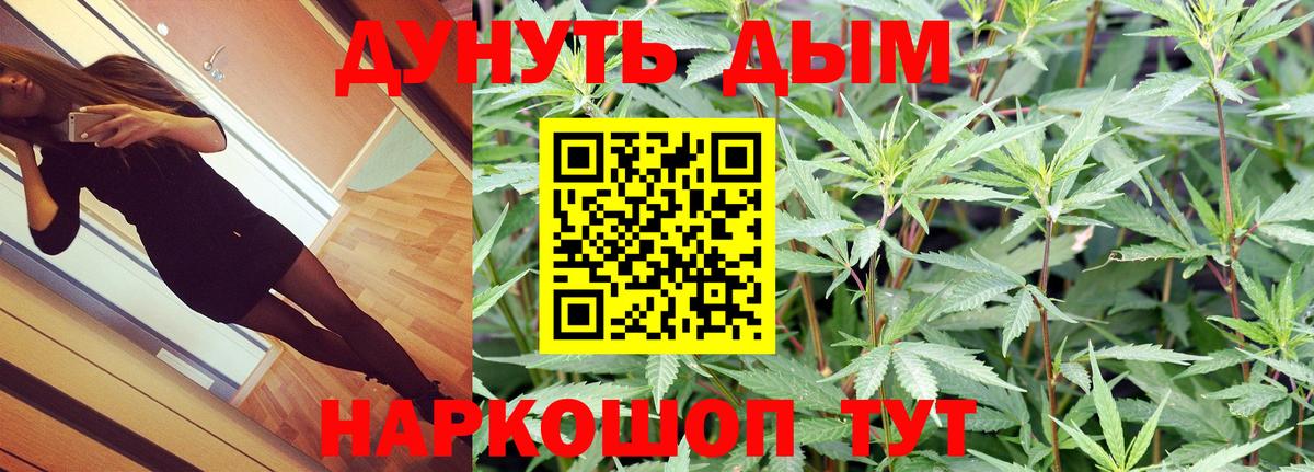 МАРИХУАНА гибрид Кимры
